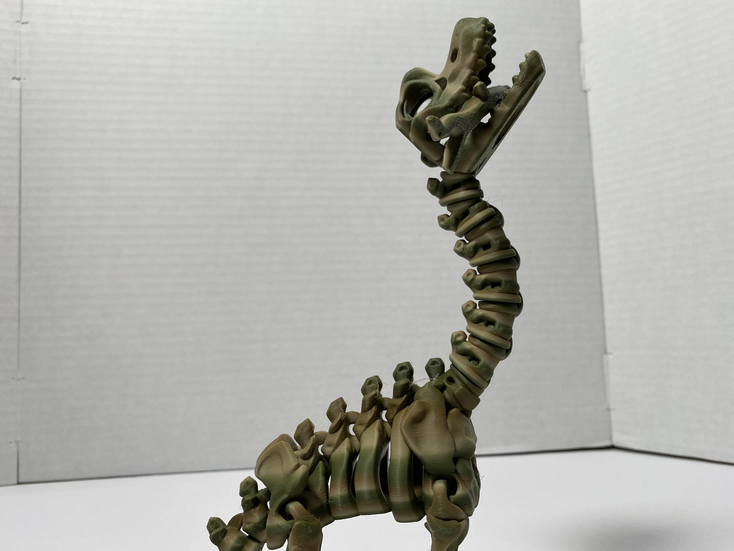 Flexi Factory Skeleton Brachiosaurus
