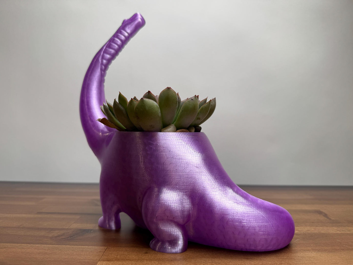 Dino planter 3D print