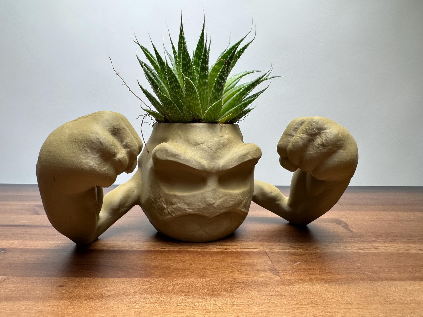 Geodude planter 3D print