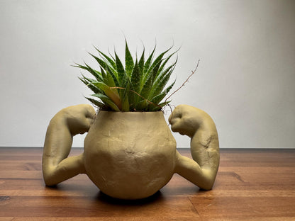 Geodude planter 3D print