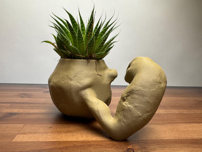 Geodude planter 3D print